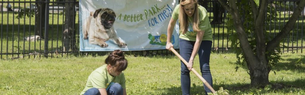 Beneful Header 2 Partner – Beneful Dream Dog Park Project