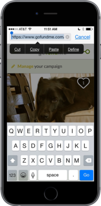 text-campaign-link Top 9 Ways to Promote Your GoFundMe From Your Phone